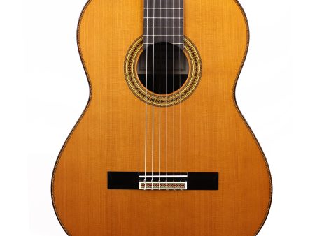 Yamaha GC42C Cedar and Madagascar Rosewood Classical Guitar Natural Sale