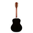 Taylor 50th Anniversary 858e LTD Acoustic-Electric For Sale