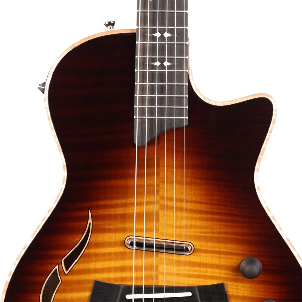 Taylor T5z Pro Tobacco Sunburst Cheap