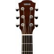 Yamaha CSF1M Parlor Guitar Tobacco Brown Sunburst Online