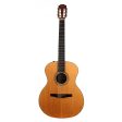 Taylor NS24e-G Nylon-String Acoustic-Electric 2010 Supply