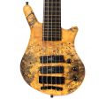 Warwick MasterBuilt Thumb NT 5-String Bass BroadNeck MasterReserve Buckeye Bubinga 2022 Online now