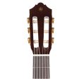 Yamaha CG182C Classical Guitar Cedar Top Natural Supply