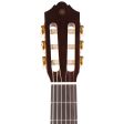 Yamaha CG172SF Classical Acoustic Natural on Sale