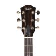 Taylor T5z Pro Gaslamp Black 2020 For Sale