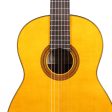 Yamaha GC32S European Spruce and Rosewood Classical Guitar Natural Supply