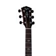 Taylor Gold Label Collection 814ce Super Auditorium Acoustic-Electric Natural Discount