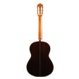 Yamaha GC42S Classical Nylon String Guitar Natural Supply