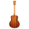 Taylor GS Mini-e Special Edition Prototype Acoustic-Electric Tigerwood For Discount