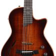 Taylor T5z Custom Koa Shaded Edge Burst For Discount