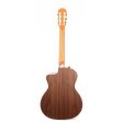 Taylor 214ce-N Grand Auditorium Acoustic-Electric Guitar Online now