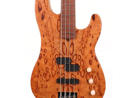 Landon K Tour Bass Exotic Oak Cluster Burl Online Hot Sale