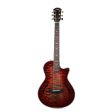 Taylor T5z Pro Grapevine Burst 2018 For Sale