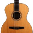 Taylor NS24e-G Nylon-String Acoustic-Electric 2010 Supply