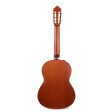 Yamaha CGX122MCC Classical Nylon String Guitar Natural Online Sale