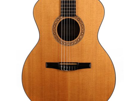 Taylor NS24e-G Nylon-String Acoustic-Electric 2010 Supply