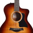 Taylor 214ce-K SB Plus Grand Auditorium Acoustic-Electric Shaded Edgeburst on Sale