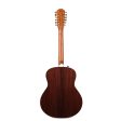 Taylor 50th Anniversary 858e LTD Acoustic-Electric Guitar Online Sale