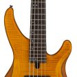 Yamaha TRBX605FM 5-String Electric Bass Guitar Matte Amber Hot on Sale