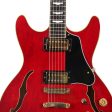 Westone Rainbow II Semi-Hollow Cherry Used Online