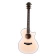 Taylor 50th Anniversary 614ce LTD Acoustic-Electric Transparent White Edgeburst Online now