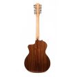 Taylor 254ce Plus 12-String Grand Auditorium Acoustic-Electric Natural on Sale