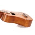 Folkcraft Druid Moon Dulcilele Hybrid Dulcimer Ukulele Supply