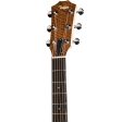 Taylor BBTe Big Baby Taylor Acoustic-Electric Used Online