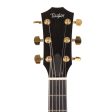 Taylor T5 Pro Tobacco Sunburst 2006 Online Hot Sale