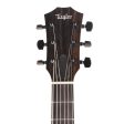 Taylor T5z Classic Sassafras Top Shaded Edgeburst 2022 Cheap