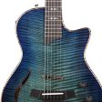 Taylor Custom Shop T5z Midnight Sapphire on Sale