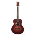 Taylor GS Mini-e Special Edition Prototype Acoustic-Electric Floral Fashion