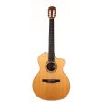 Taylor NS24-CE-G Grand Auditorium Nylon-String Acoustic-Electric Used Sale