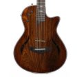 Taylor T5z Pro Prototype Bocote Top Online Sale