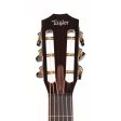 Taylor Custom Shop Grand Concert Adirondack Spruce and Indian Rosewood Acoustic-Electric Cheap