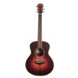 Taylor GS Mini-e Special Edition Prototype Acoustic-Electric Geometric Burst Sale